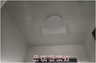 吊頂吸頂燈(dēng)